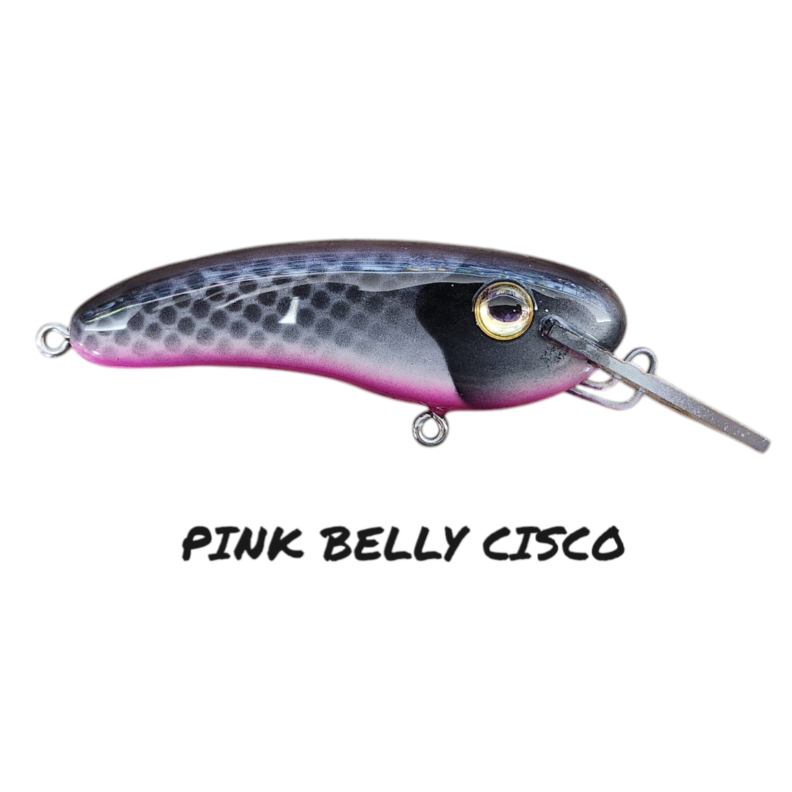 6" CRANKBAIT