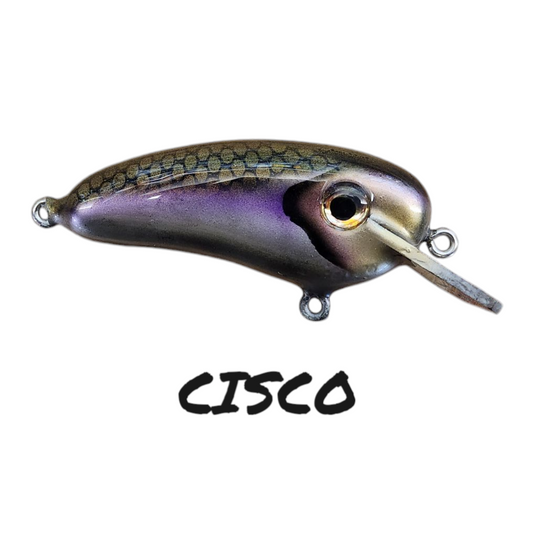 4" SHALLOW CRANKBAIT