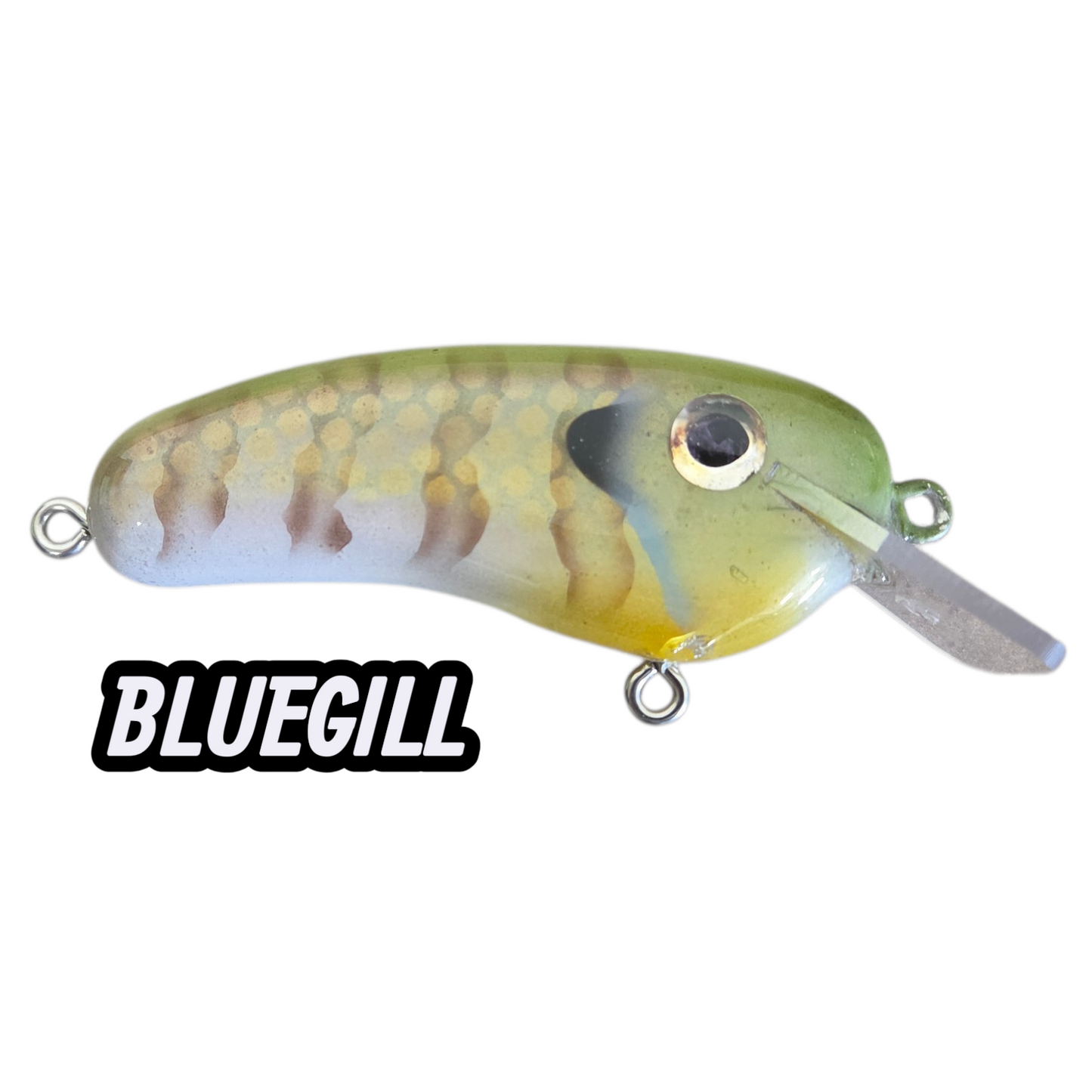 4" SHALLOW CRANKBAIT