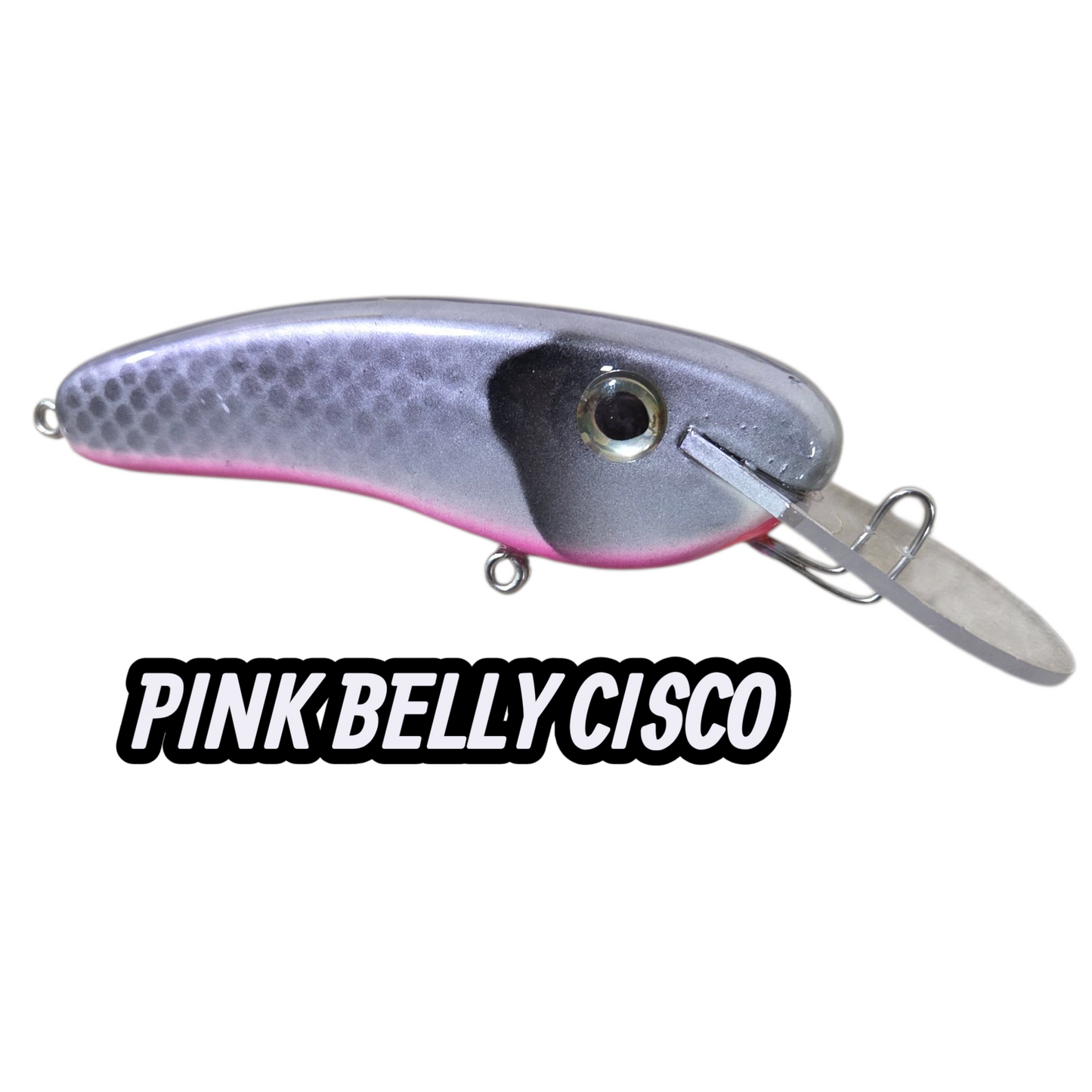 6" CRANKBAIT