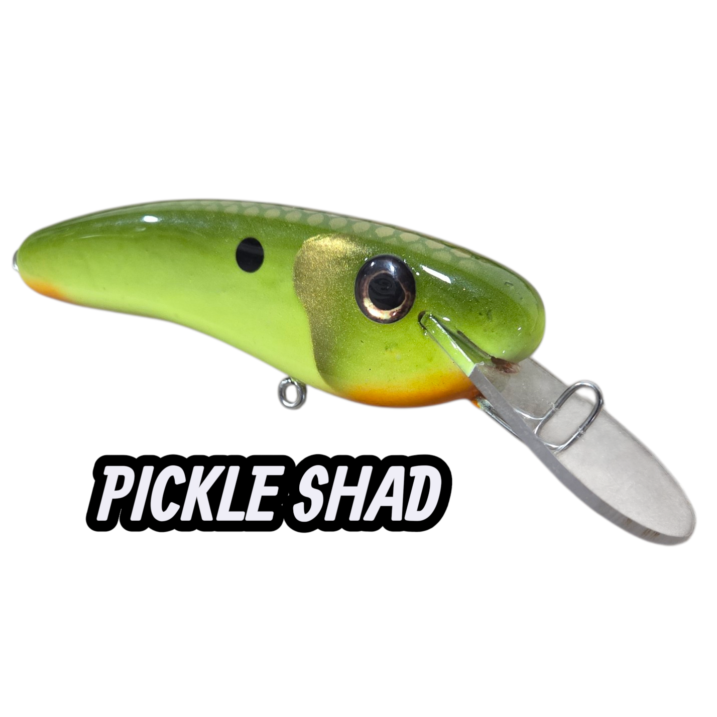 6" CRANKBAIT