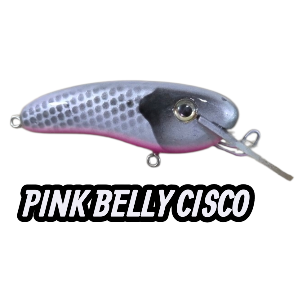 5" CRANKBAIT